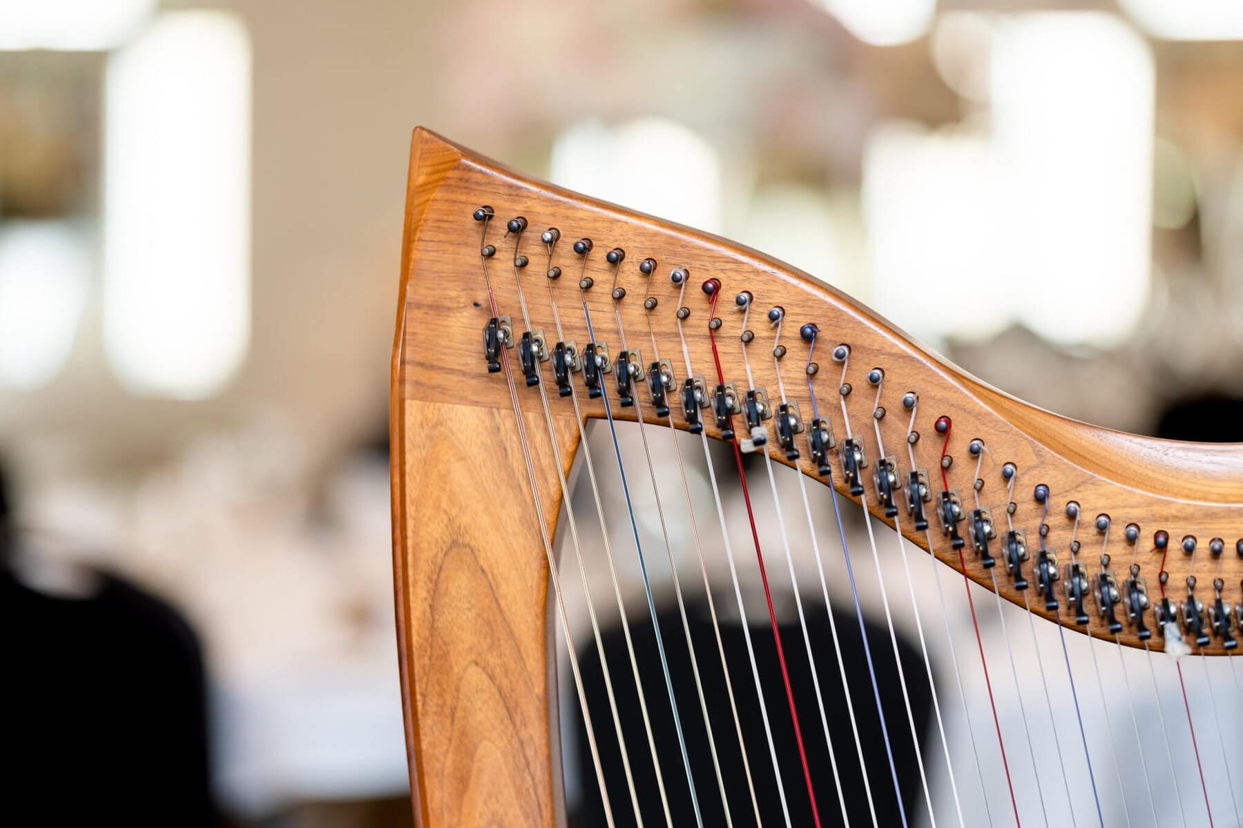 Wedding Reception at The Century House in Acushnet 4 Close-up of a harp's tuning pegs and strings at The Century House in Acushnet, perfect for a wedding reception backdrop.