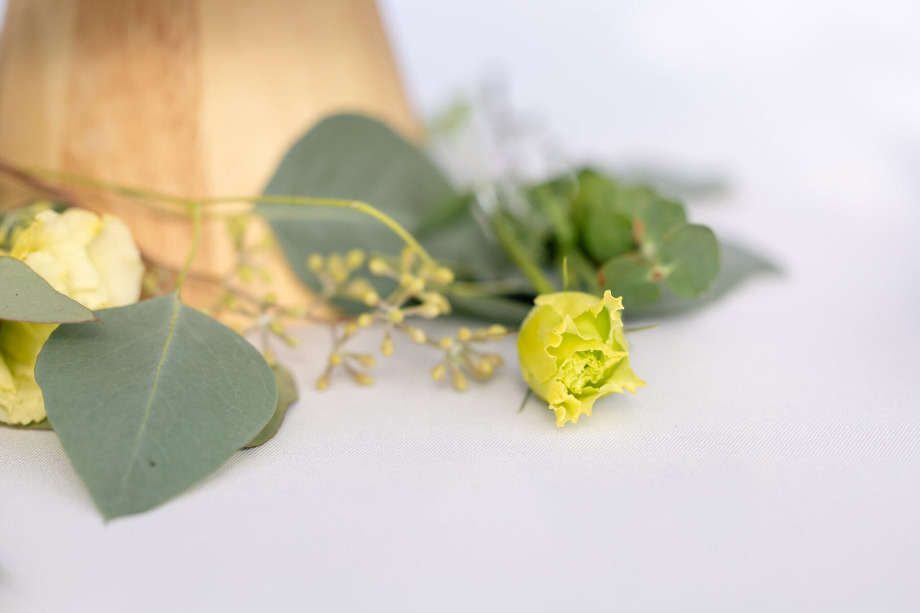 Stunning Wedding at the Roger Williams Botanical Gardens 41 A small yellow flower and green leaves rest on a white surface, evoking wedding elegance at Roger Williams Botanical Gardens.