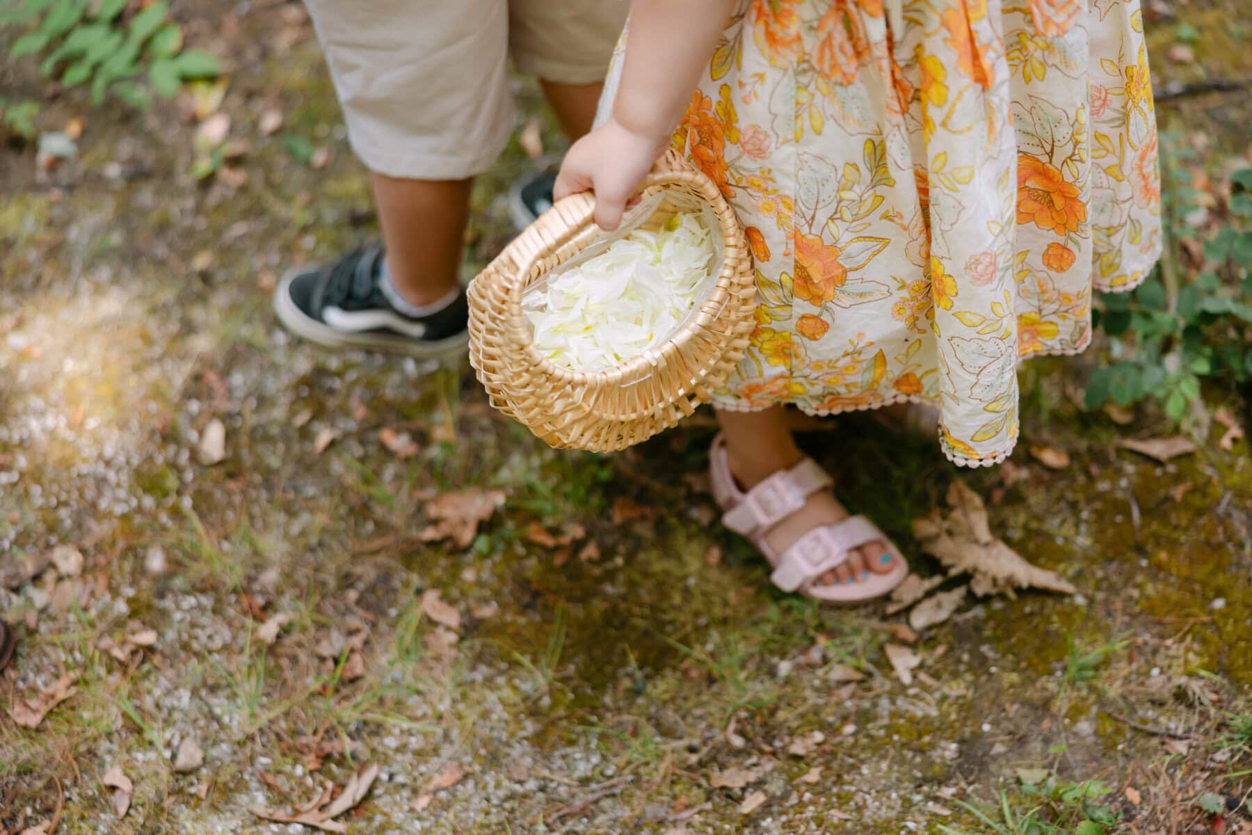 A Worcester Wedding at Cook Pond 22 A child holding a basket of petals at a beautiful Worcester Wedding by Cook Pond.